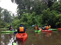 1-18-tour-en-kayak---parque-nacional-tortuguero.jpg