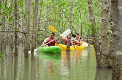 1-6-kayak-en-isla-damas.jpg
