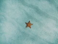 1-7-playa-de-las-estrellas---bocas-del-toro.jpg