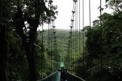 1-8-combo-aventura-canopy-tirolesa-y-puentes-colgantes.jpg