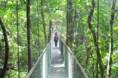 1-8-puentes-colgantes-y-tirolesa-canopy-.jpg