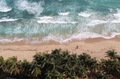 playaybosquenuboso
